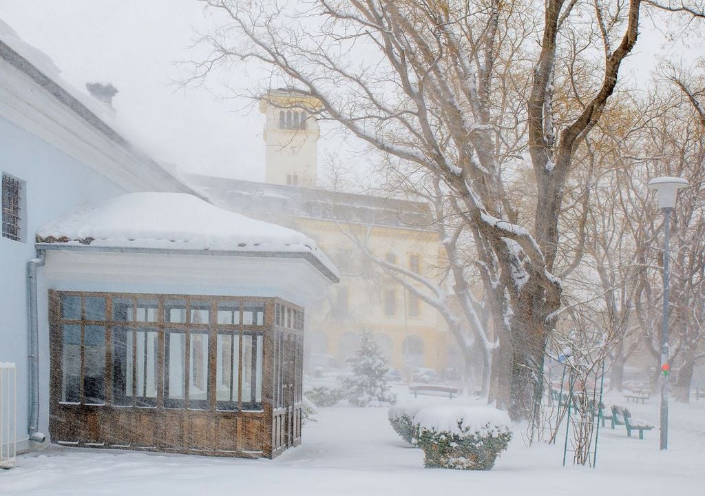 Alte Bauernregel sagt einen eiskalten und strengen Winter 2026/27 voraus. Was ist dran?