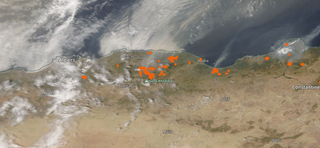 Ola de calor en el Mediterráneo: decenas muertos en Argelia