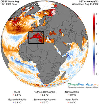 Ola de calor marina: el mar Mediterráneo anormalmente cálido