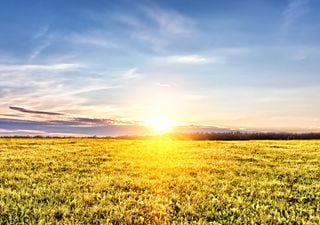 Ola de calor: preocupación en el campo por la cosecha de soja y maíz