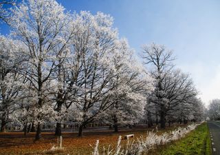 Frío extremo en España: las temperaturas caen hasta los -30 °C