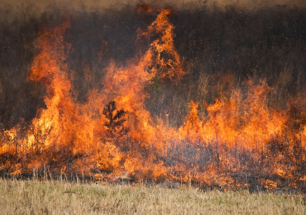 incendios Australia