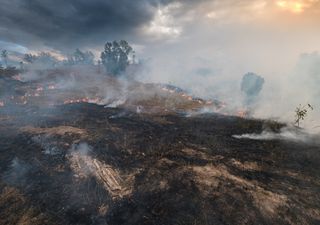 Ola de incendios fuera de control afectan a Australia, pobladores huyen de sus hogares