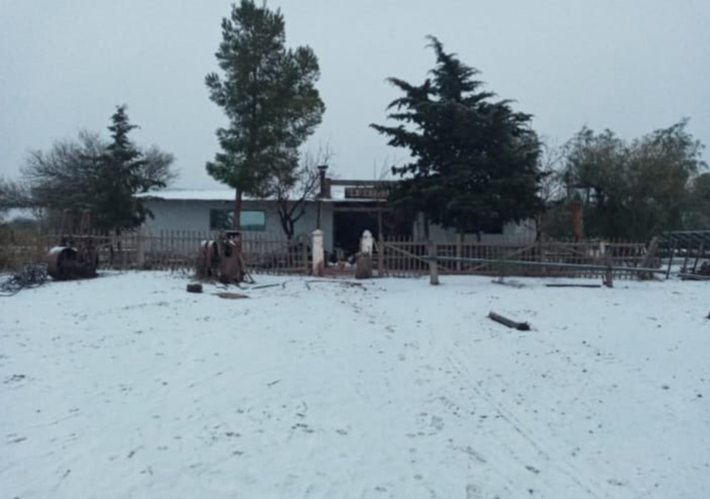 Nieve en Mendoza No sólo nevó en las ciudades cordilleranas de Mendoza, sino también en el llano. Foto: X @MATIPASCUALETTI