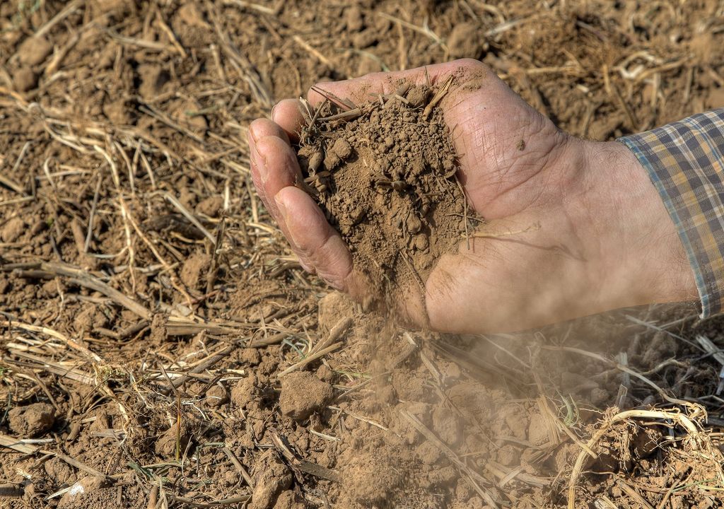 agricultor en tierra seca en sus manos