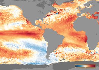 Olas de calor marinas, sus impactos en los ecosistemas océanicos y proyecciones científicas alrededor de la Tierra