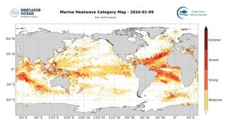 Las olas de calor marinas en aguas profundas son las grandes desconocidas del sistema climático global