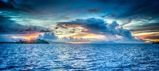 Olas de calor marinas y biodiversidad global