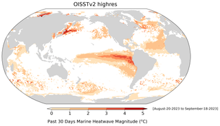 Las olas de calor marinas duran más tiempo y alcanzan aguas más profundas