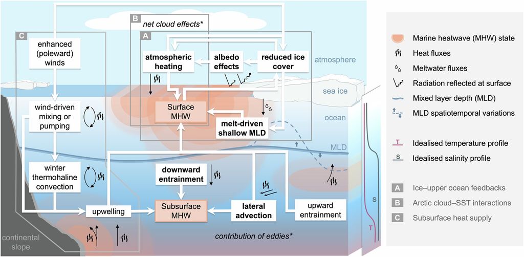 Factores que impulsan las olas de calor marinas en el Ártico. Crédito: Communications Earth & Environment (2026). DOI: 10.1038/s43247-026-03735-1