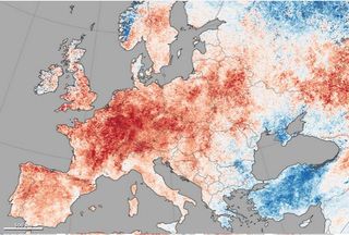 Olas de calor records en Europa y el noroeste del Pacífico