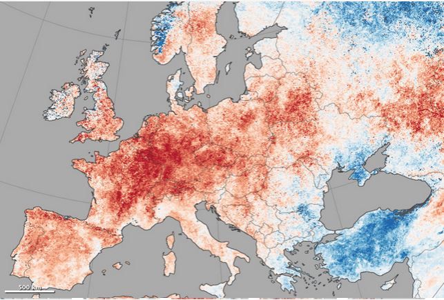 Olas De Calor Records En Europa Y El Noroeste Del Pacífico