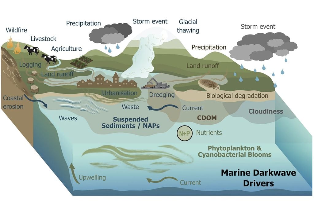 Olas oscuridad Resumen conceptual que muestra los factores primarios y secundarios que influyen en las olas oscuras marinas y la variabilidad de la luz submarina a escala diaria y mensual. Thoral et al. (2026)
