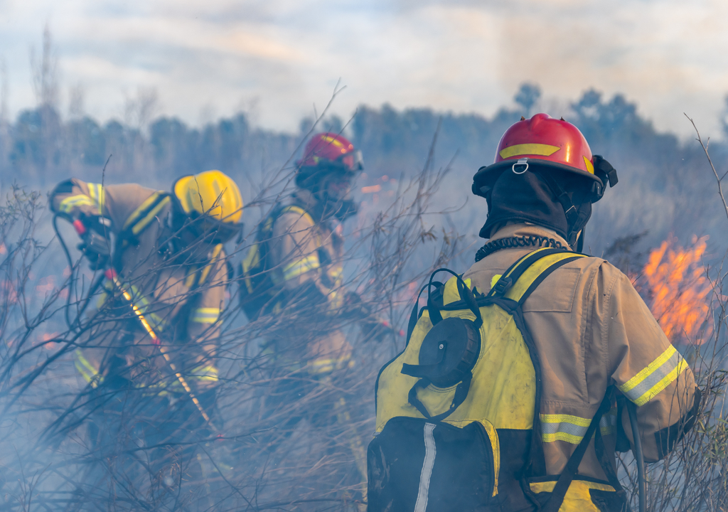 Bomberos forestales Bomberos forestales