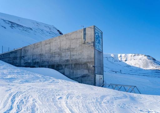 Oliveiras no &Aacute;rtico: como o cofre de Svalbard est&aacute; a proteger o futuro do azeite