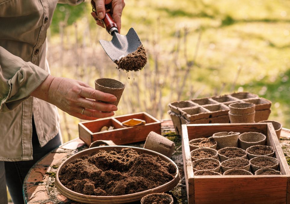 Immagine 2 Immagine 2