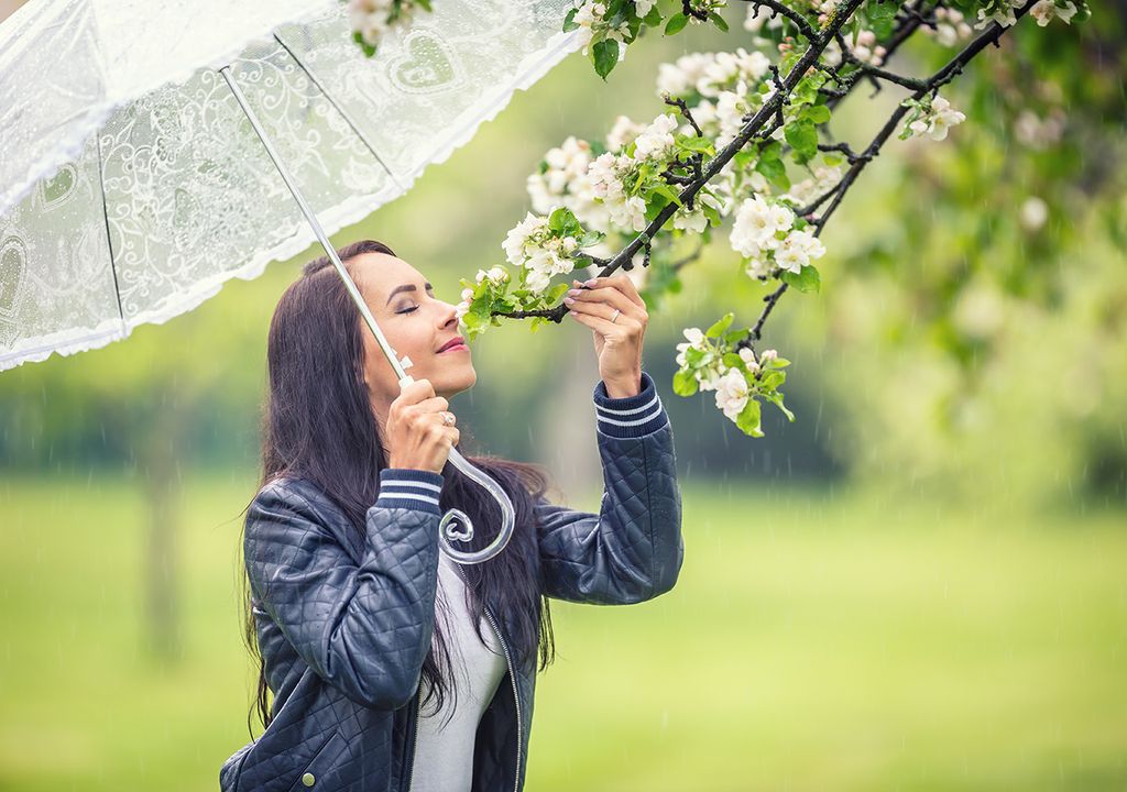 olor a tierra mojada y olor a lluvia petricor geosmina