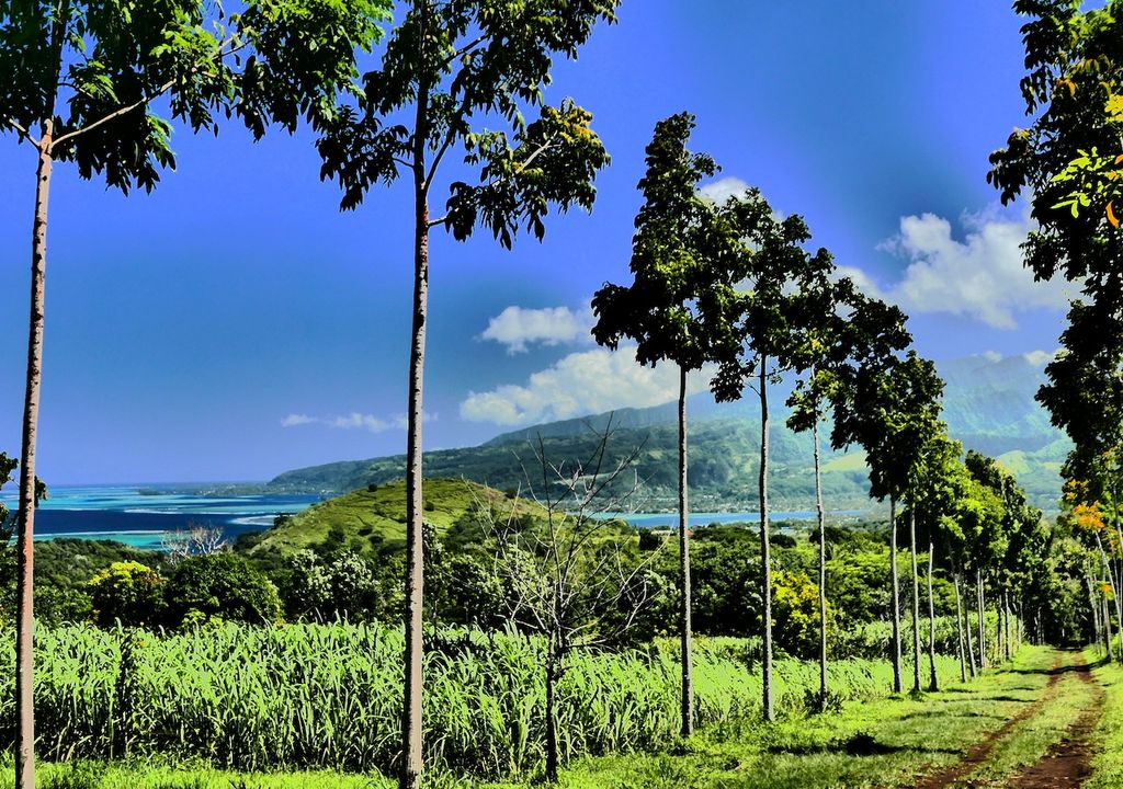 Landschaft Tahiti