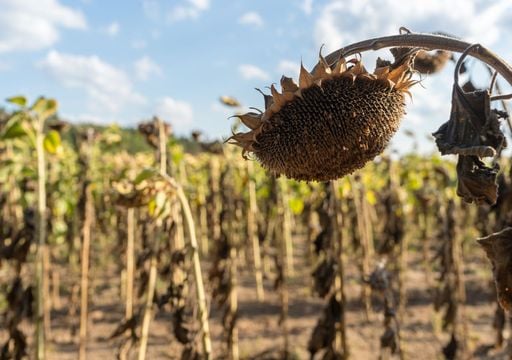 Omega-Falle &uuml;ber Deutschland! Experte sicher: "Dann wird es richtig gef&auml;hrlich" &ndash; kommen die 40 Grad?