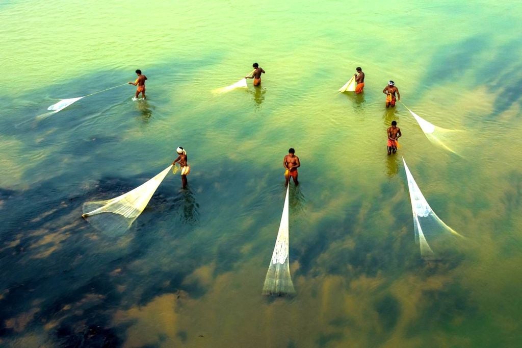 Seis personas permanecen de pie en aguas poco profundas, cada una sosteniendo una larga red de pesca sumergida en el agua verdosa, vistas desde arriba. Concurso de fotografía del calendario 2027 de la OMM - Saurabh Sirohiya/OMM