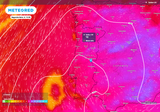 Onda de calor atinge Portugal: entre 3 e 6 de agosto preveem-se temperaturas até 44 ºC, eis o que esperar na sua região!