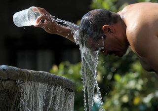 Onda de calor extrema faz temperaturas baterem recordes no México, causando a morte de pessoas e macacos! 