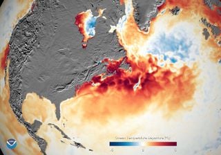 Onda de calor marinha no Atlântico Norte