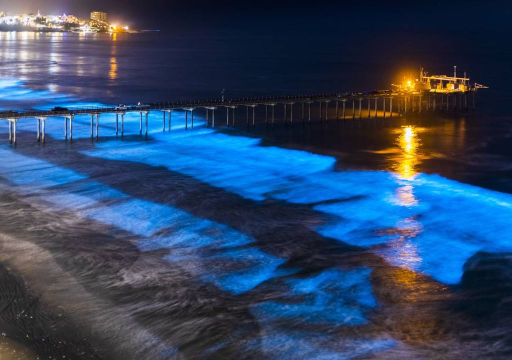 Olas bioluminescentes, mar azul fluorescente y bioluminescencia