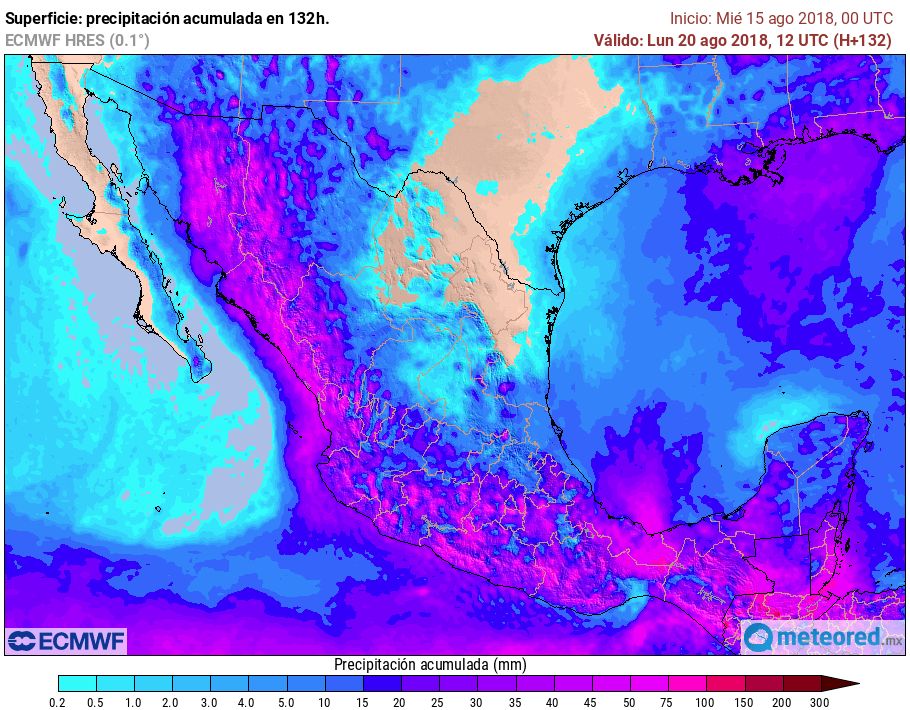 ECMWF ECMWF
