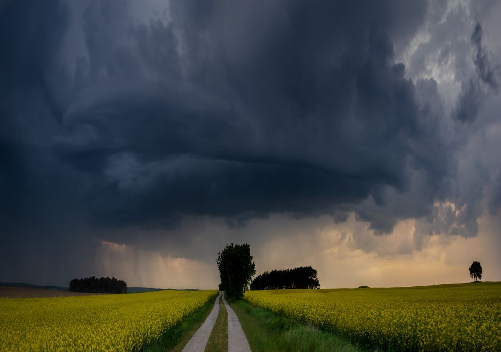 Lluvias Lluvias