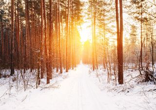 Ondata di freddo verso Scandinavia e Russia, attese le prime nevicate al piano in Europa