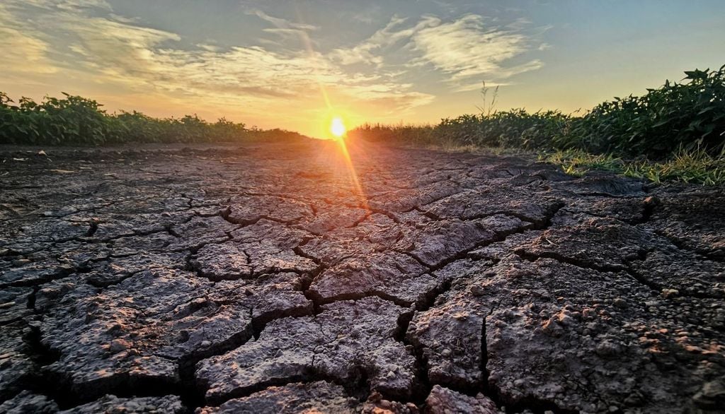 Ondata di calore. Tra rischi per la salute, sovraccarico delle infrastrutture e costi diretti e indiretti, il caldo intenso rappresenta oggi una delle sfide più urgenti per il Paese.