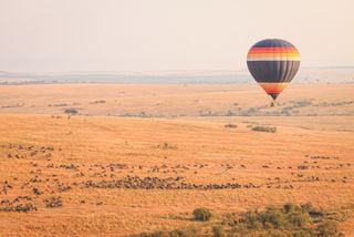 Onde e quando pode ser a Grande Migração de África: o guia definitivo para o seu safari no Quénia e Tanzânia