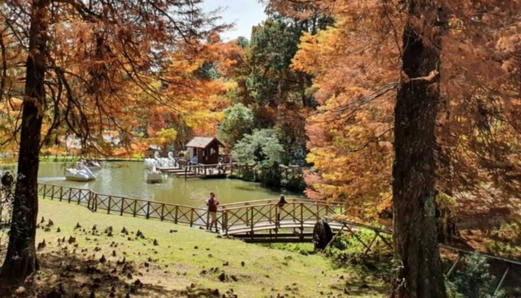 O Horto Florestal, em Campos do Jordão (SP). Crédito: Instagram Sindepat.