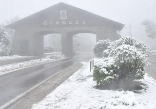 Onde e como ocorre a neve no Brasil?