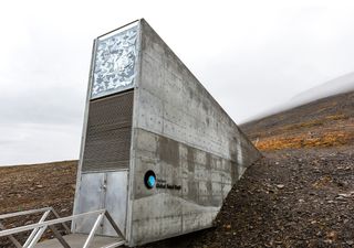 Doomsday vault? Scientists propose building a biorepository on the Moon to store animal cells