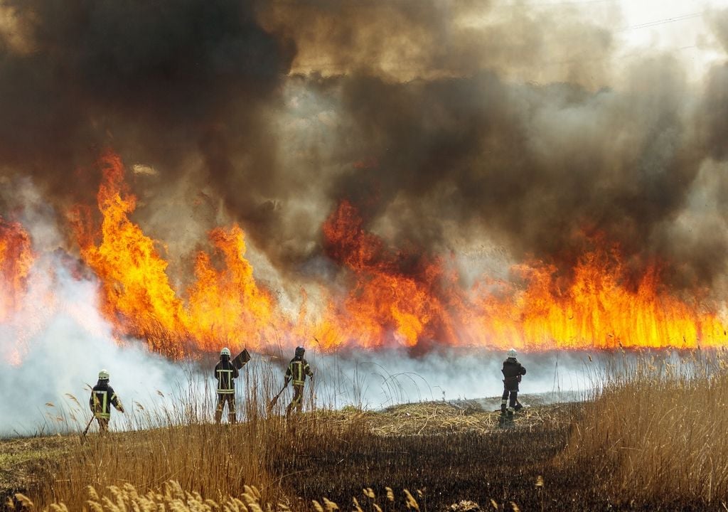 Incendio forestal, fuego, bomberos, brigadistas