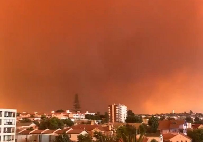Onemi llama a evacuar sectores de Quilpué por incendio forestal Onemi llama a evacuar sectores de Quilpué por incendio forestal