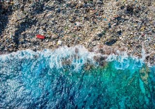 Proyecto GloLitter busca reducir contaminación y limpiar los océanos