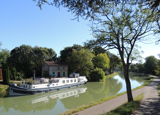 Orages, bourrasques : un garçon de 10 ans tué par la chute d'un arbre dans le Tarn-et-Garonne !