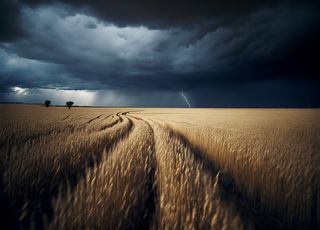 Orages dès ce jeudi en France : à quoi s'attendre et quelles régions concernées ? 