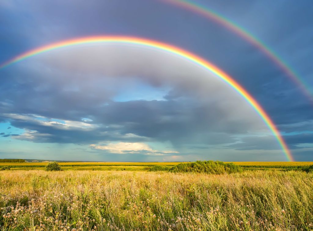 arc-en-ciel arc-en-ciel