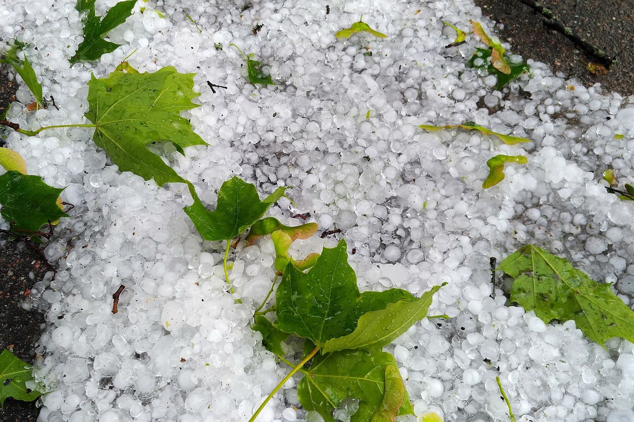 Grele Orages : pluies, grêle et vent au programme de ce dimanche. Êtes-vous ...