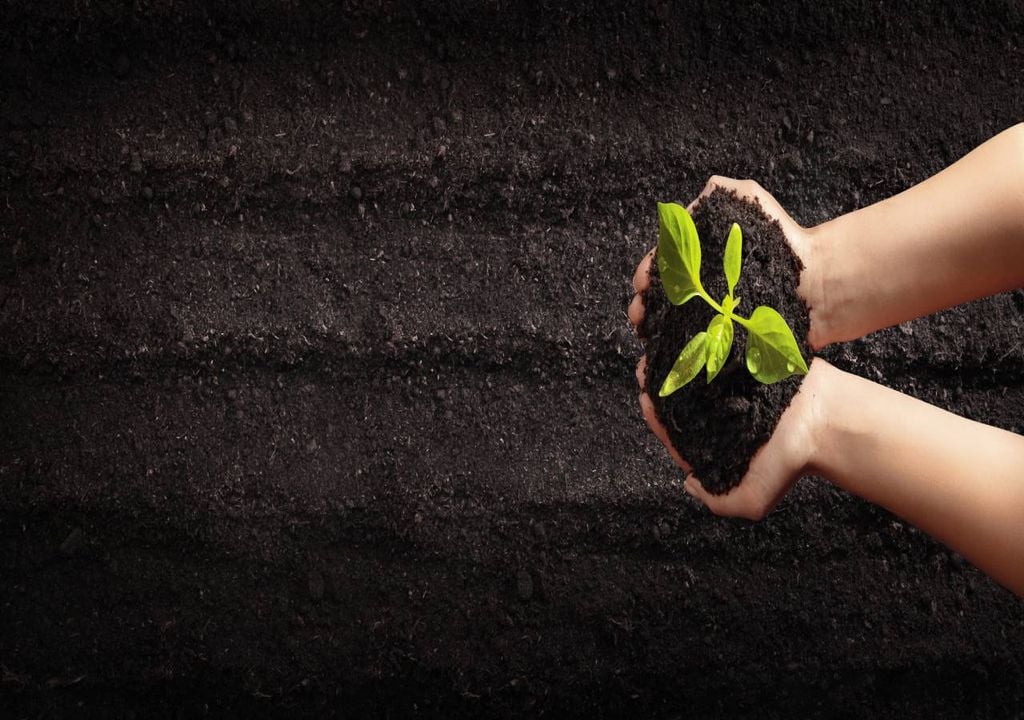 Agricultura Agricultura