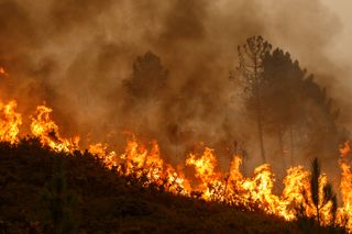 Oregon’s Rail Ridge Fire spreads to almost 83,000 acres as it continues to blaze at three percent containment