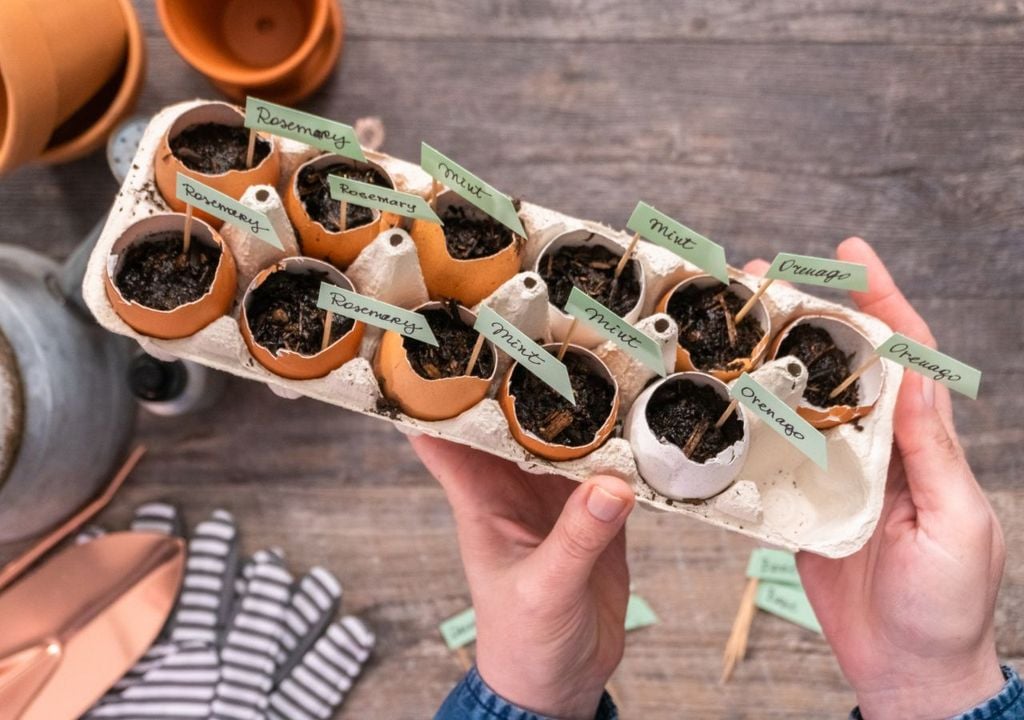 Eggshell pots