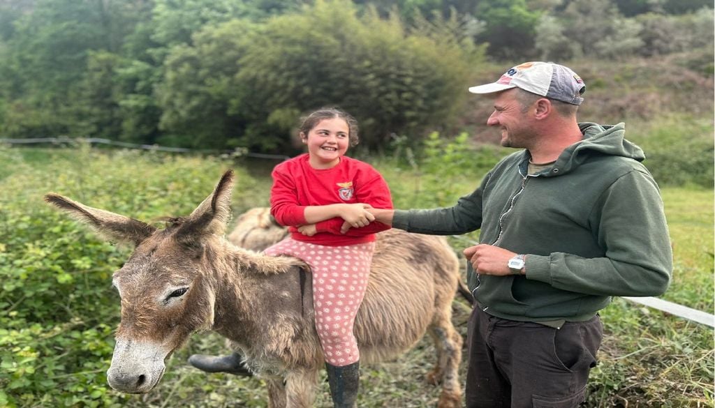 O regresso dos burros às aldeias serranas recupera uma presença que marcou gerações. Foto: Clube das Antas