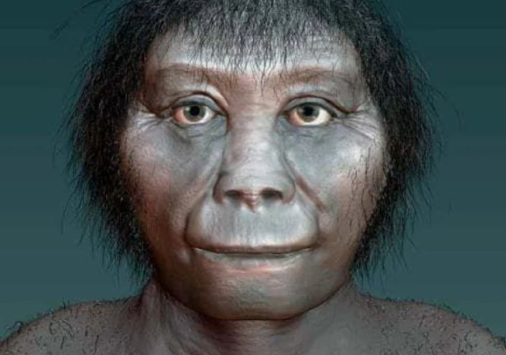 Homo floresiensis, Hobbit