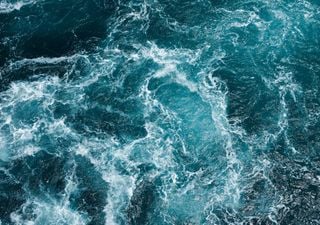 Os cientistas revelam o momento exato em que os oceanos se encheram de oxigénio