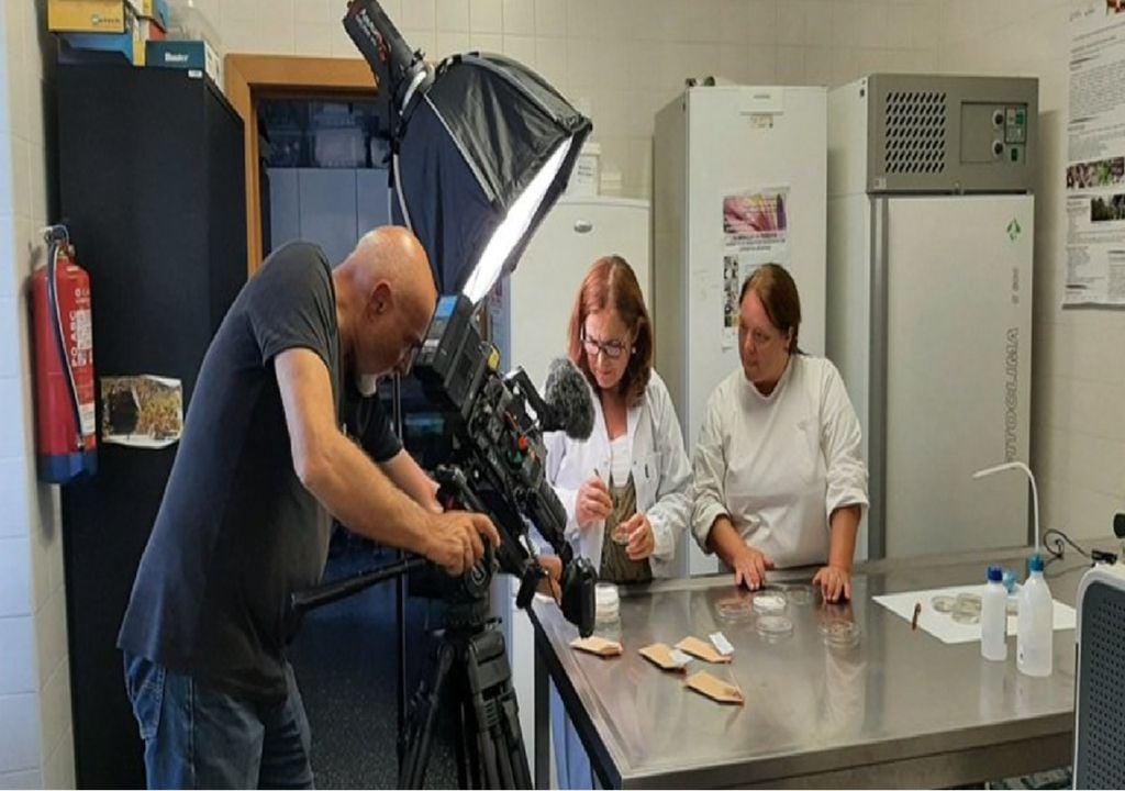 A investigação que Noémia Farinha e Orlanda Póvoa conduzem há 25 anos na Escola Superior de Biociências de Elvas já esteve em destaque no canal franco-alemão ARTE.TV. Foto: divulgação/ARTE.TV